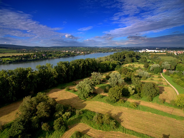 Camping am Rhein