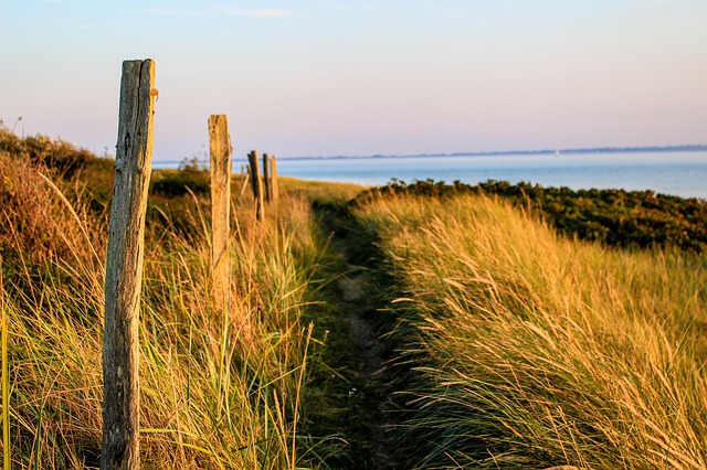 Camping an den Dünen in Nordholland