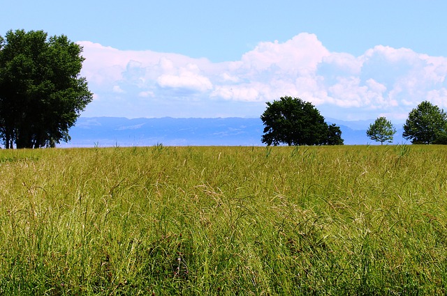 Camping in Arbon am Bodensee