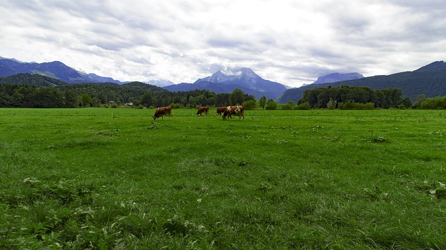 Camping in Bischofswiesen