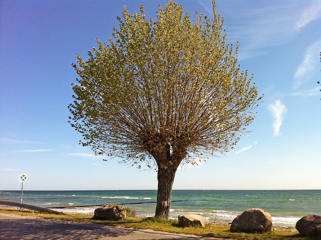 Camping in Boltenhagen