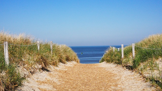 Camping in den Dünen auf Texel