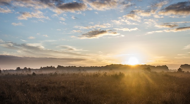 Camping in der Nordheide