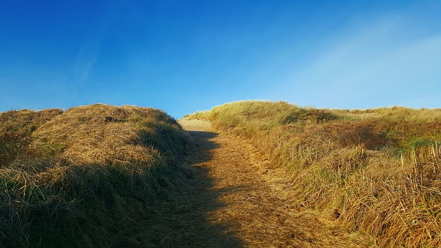 Dünencamping in de Koog auf Texel