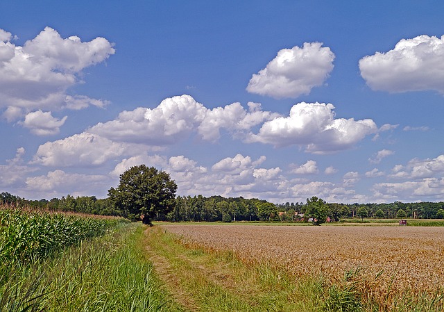 Münsterland