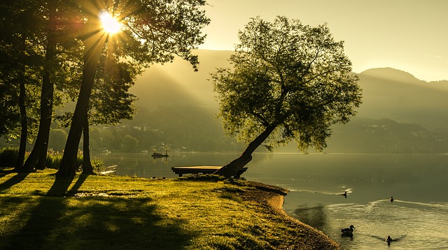 Camping am Haselbachsee