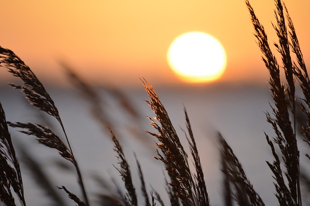 Camping auf Fehmarn