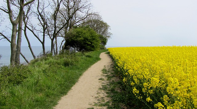 Camping auf Fehmarn