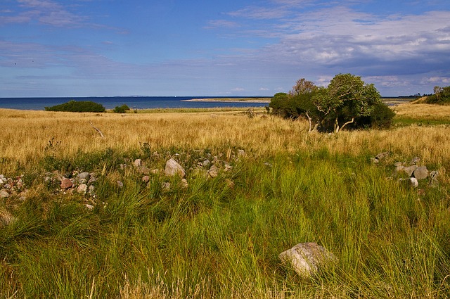 Camping in Damp an der Ostsee