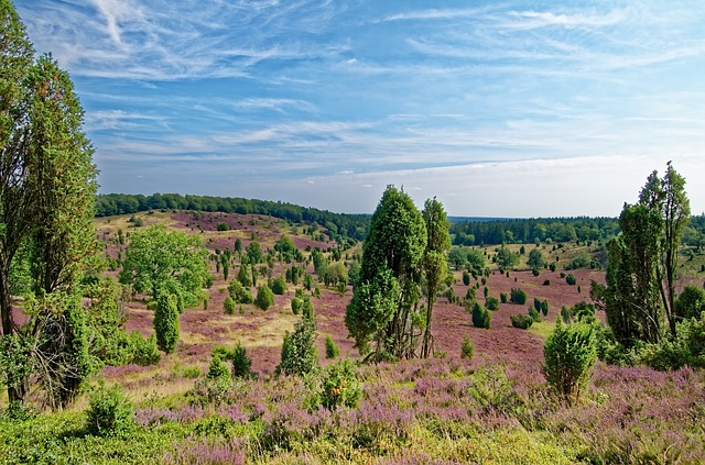 Camping in der Lüneburger Heide