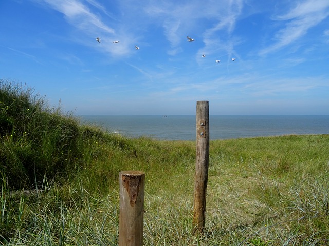 Camping an der Nordsee in Nordholland