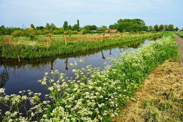 Camping in holländischer Landschaft