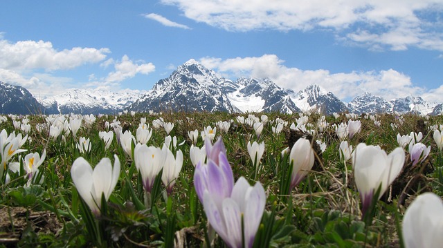 Berglandschaft im Unterengadin