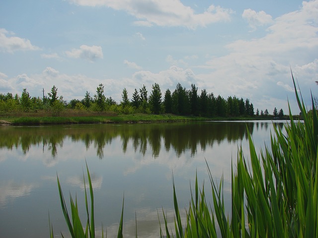 Camping am Angelsee