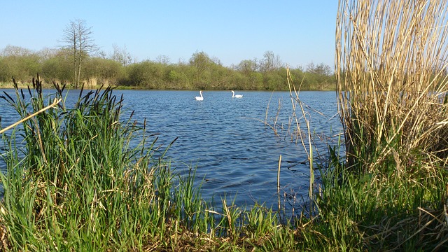 Camping an der Peene