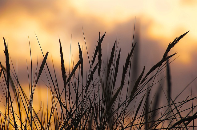 Camping in der Nordsee