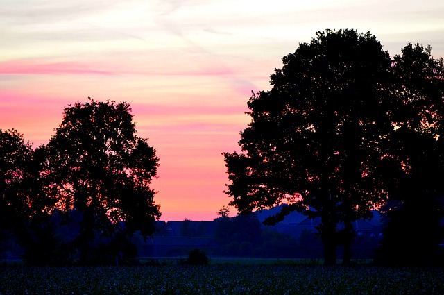 Campingplatz Lathener Marsch in Lathen im Emsland