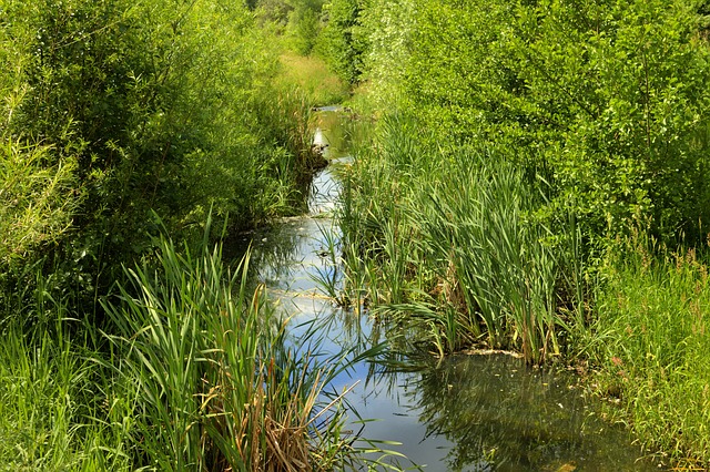 Camping in Neustadt