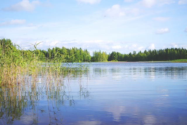 Camping am Kronensee