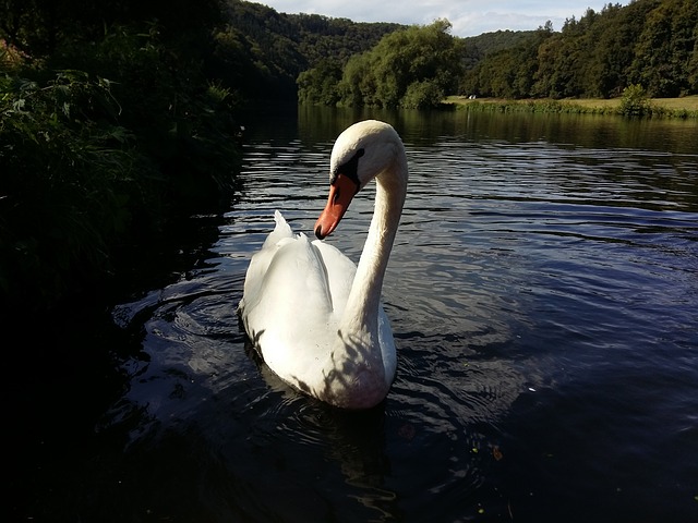 Camping an der Lahn