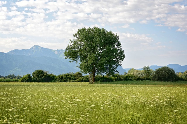 Camping im Chiemgau