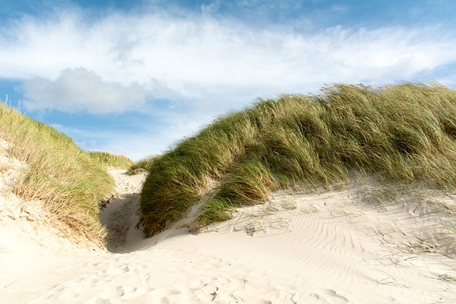 Henne Strand Camping in Dänemark