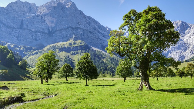 Camping in den Alpen