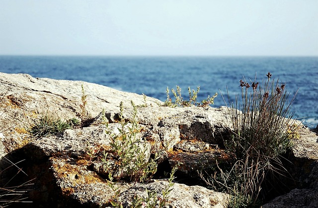 Überwintern in Spanien