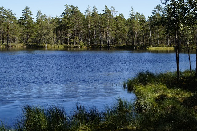 Camping am See in Schweden